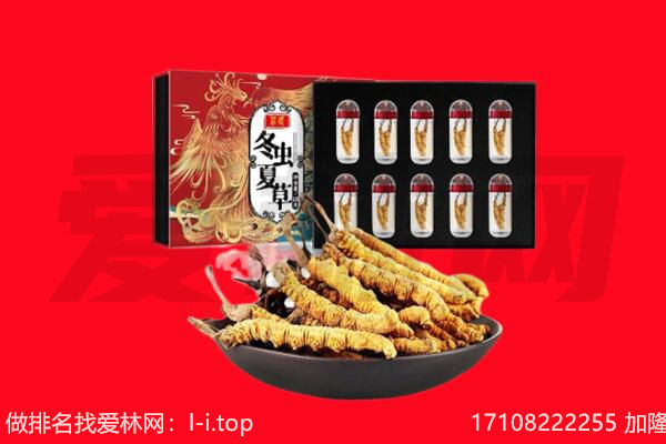 包头东河区回收虫草.jpg